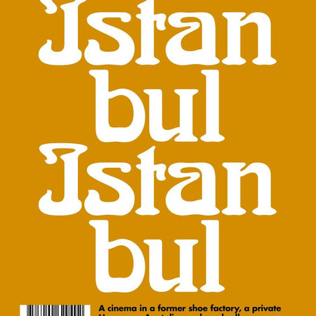 Book - Lost in Istanbul